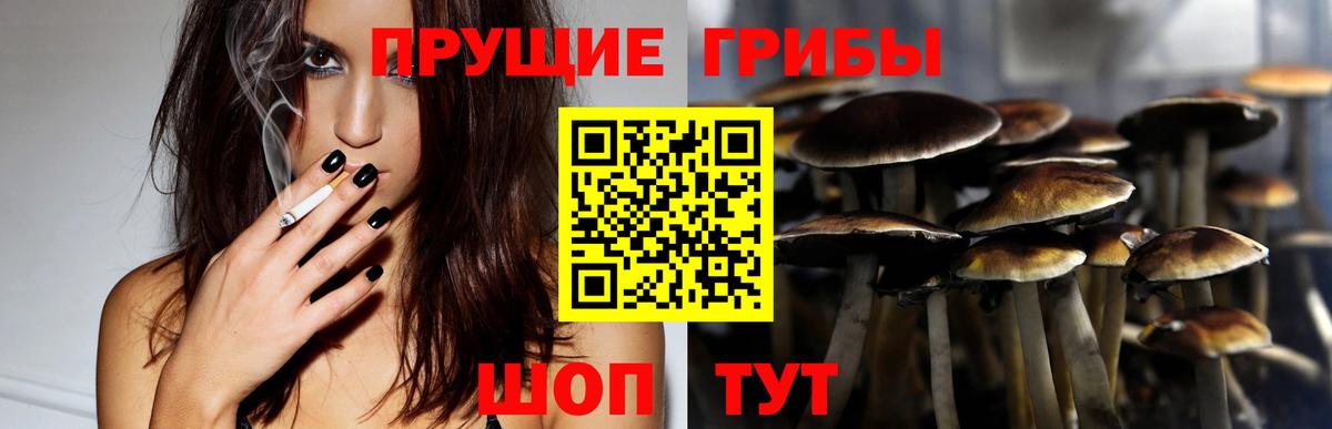 Псилоцибиновые грибы ЛСД  купить  цена  Южно-Сахалинск  Псилоцибиновые грибы Psilocybine cubensis  Вход с VPN 